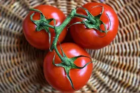 西红柿是“溶栓高手”？医生提醒：有这3种好处，但不适合这2种人图片