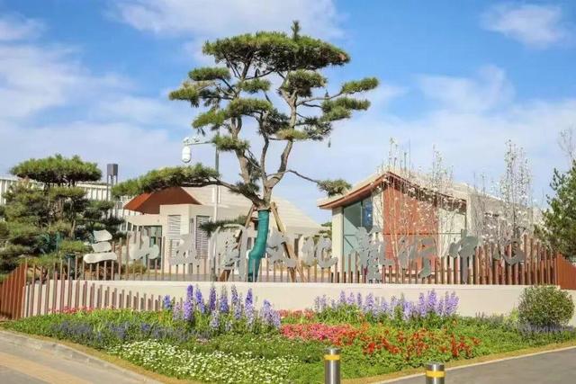 跨年夜的仪式感！来海淀这些博物馆，迎新年