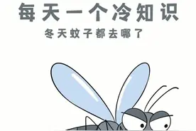 都入冬了还被蚊子“盯”？真相是...图片