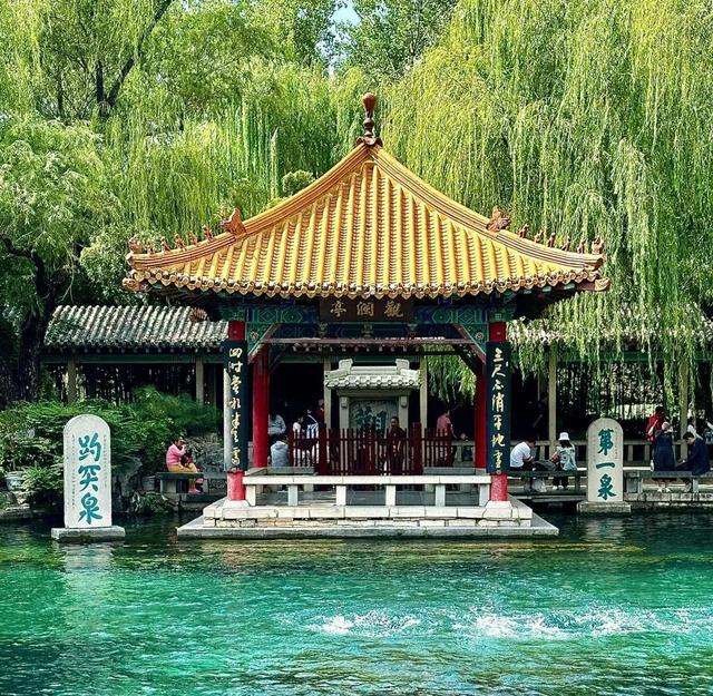 中国5大粮仓！不仅喂饱中国，还藏着绝美风光！