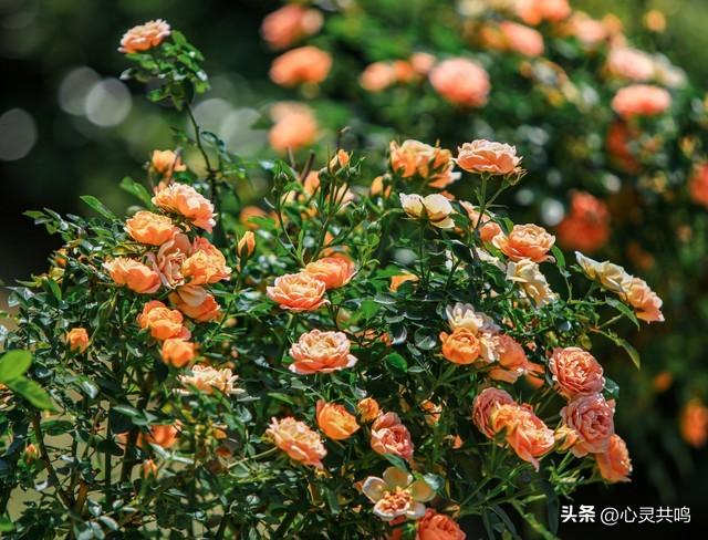 两性关系；不管你信不信，女人过54岁，都有如下7个症状，要接受