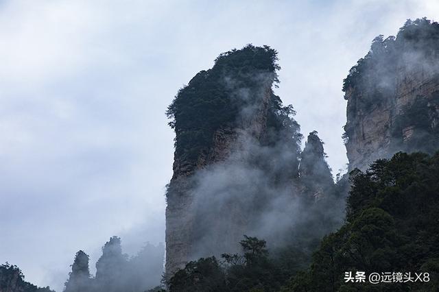 张家界国家森林公园的自然诗篇