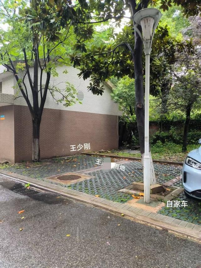 湖北一大学副教授小区内被精神病人打死案民事二审宣判，撤销原判决，发回重审
