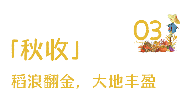 秋天武夷山给你一点颜色瞧瞧