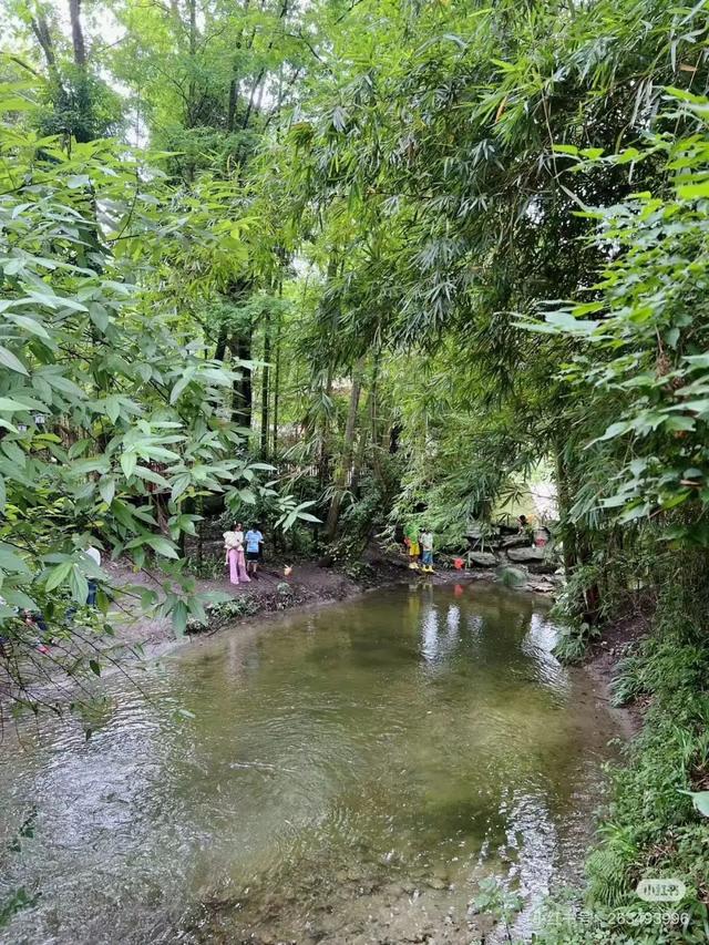 全免费！成都周边30min玩水抓螃蟹、露营野餐钓鱼烧烤！轻松安逸周末快冲！