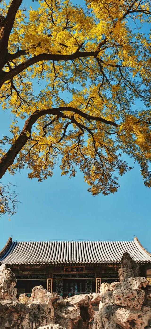 壁纸｜连天气都是瞬息万变的， 谁又能保证身边的一切不会变