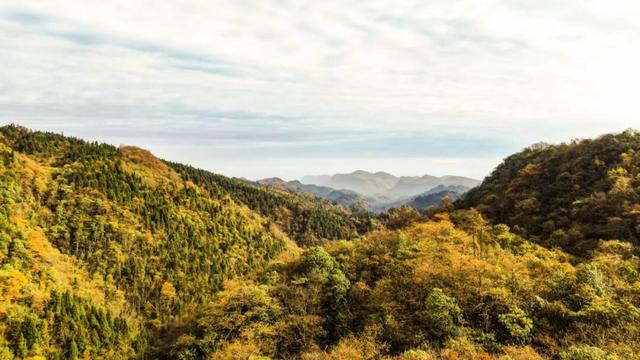 被秋景硬控的恩施还会火多久？