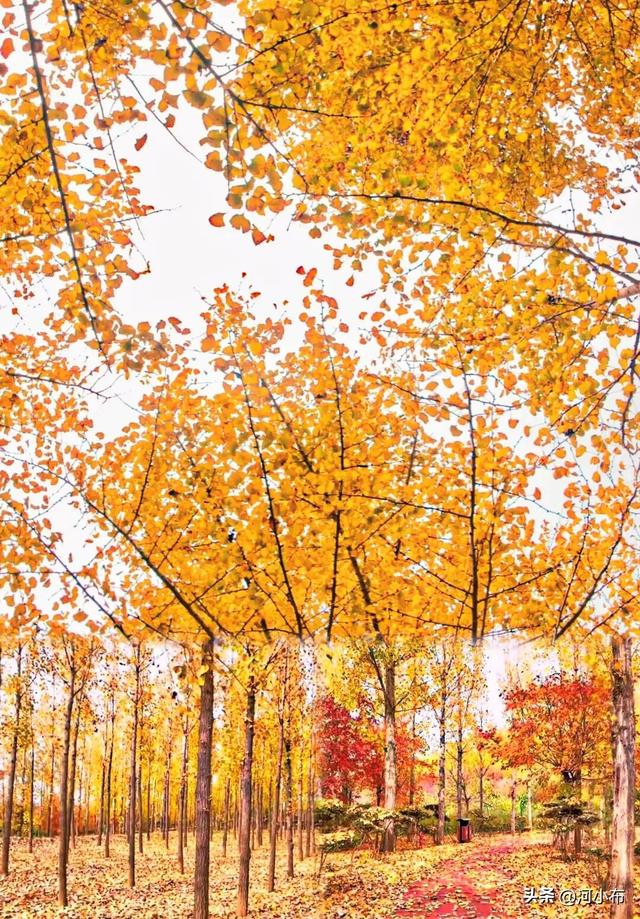 郑州遛娃新去处：满足全年龄段孩子需求，关键还免费