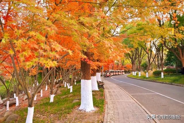 建邺5大封神赏景地,错过再等一年