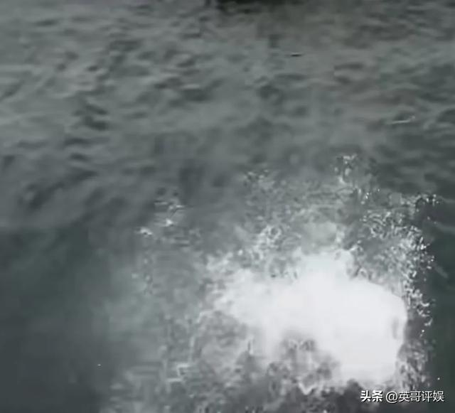 突发！演员王一博徒手攀岩	，手滑坠海