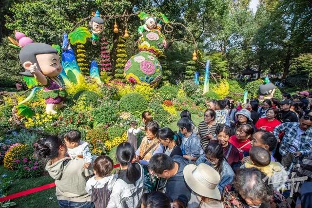 不愧是顶流！一大早就红了，人挤人持续好多天！萧山人家门口也有······