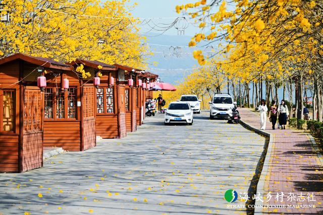 【金牌旅游村】福建｜诏安县司下村：古韵新生 硒香四溢