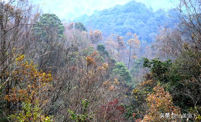 一条路，落叶无迹——贵州冬日风光