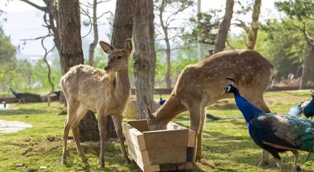 原来真的有城市，可以一天24小时都快乐~（2）