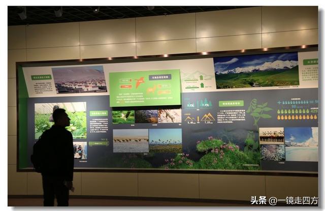 青海省博物馆里的“大美青海”成就展
