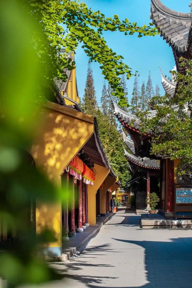 杭州灵隐12月免票!弃10亿收入,藏西湖23年智慧