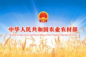 厚土新枝——习近平文化思想的“三农”感悟（中）图片