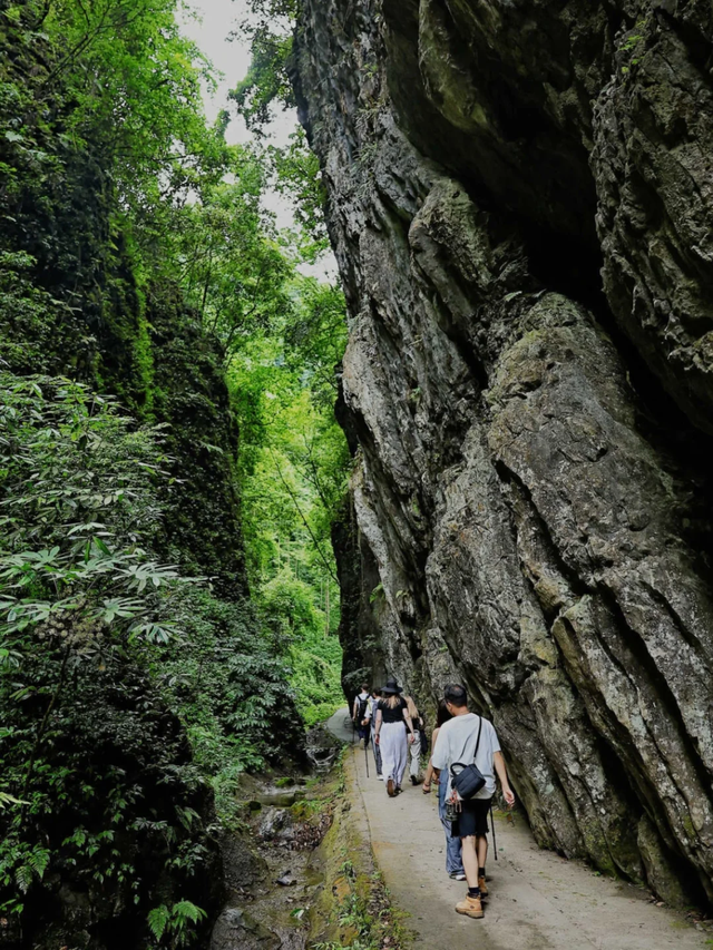 仅25℃！高铁2h直达苗乡秘境，免费峡谷徒步超凉快，纳凉好去处！