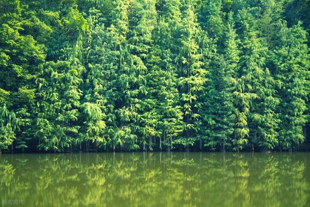 全部免费！广州值得一去的8个公园，好看又好玩，赶紧安排上！