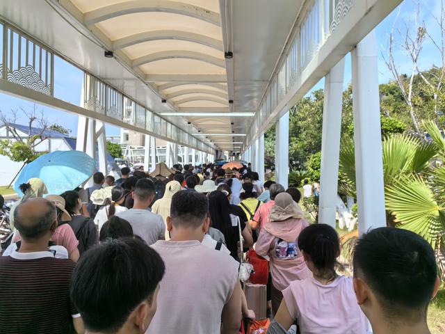 受不了，我们已终止假期提前回家啦