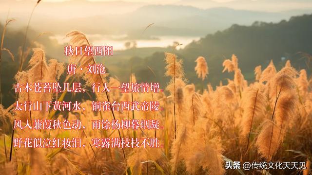 国庆长假最后一天中雨，闲坐家中品唐诗过寒露