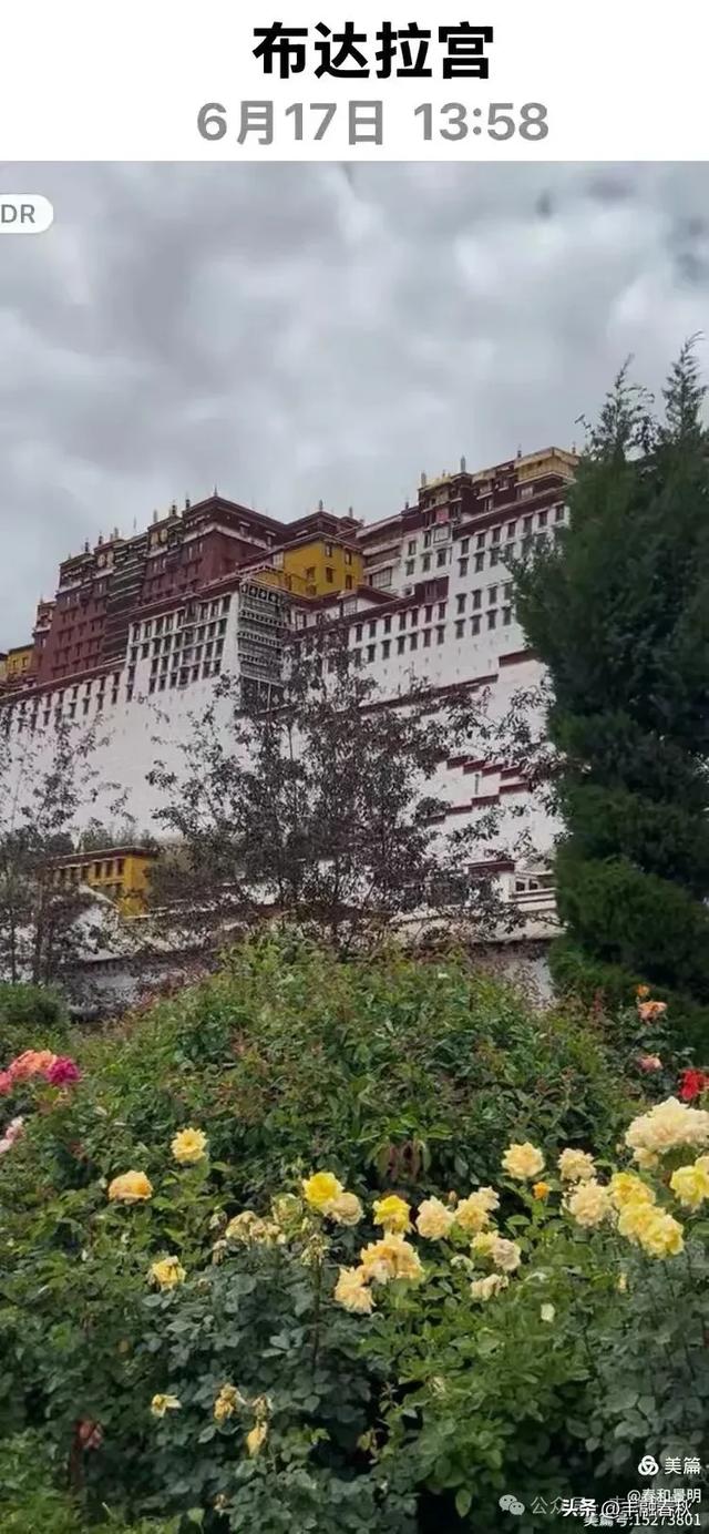 川藏行之七 ： 印象拉萨｜贾逴鼎