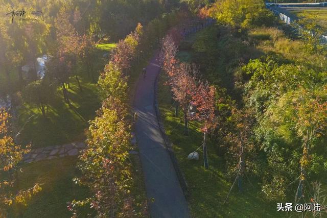 寻找大理海西的最美绿道,色彩缤纷秋意盎然,目测已经开始落叶啦