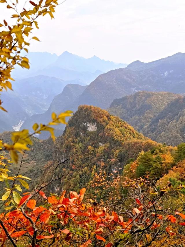 【千里嘉陵江 虞关好风光】北雀观景台红叶燃遍两岸，这份秋日限定美景请查收