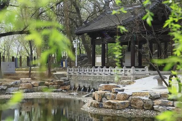 在昌平，“开学第一课”这样打开