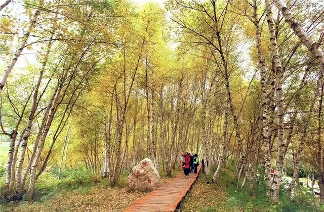 【线路产品】秋色如画！这5条临夏赏秋路线，美到不想回家！