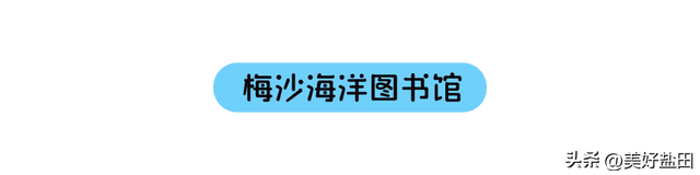 盐田，你也太会了！一天带娃穿越海洋、魔法和未来！