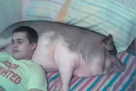 最近很火的图文，拿一张去笑翻朋友圈图片