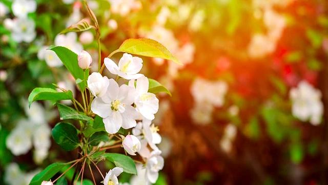 母亲房子卖40万大哥给我转20万，大嫂得知却说：这钱应该全是你的