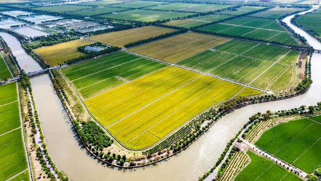 沪上这9条秋游线路，带你走进申城最美的秋景~