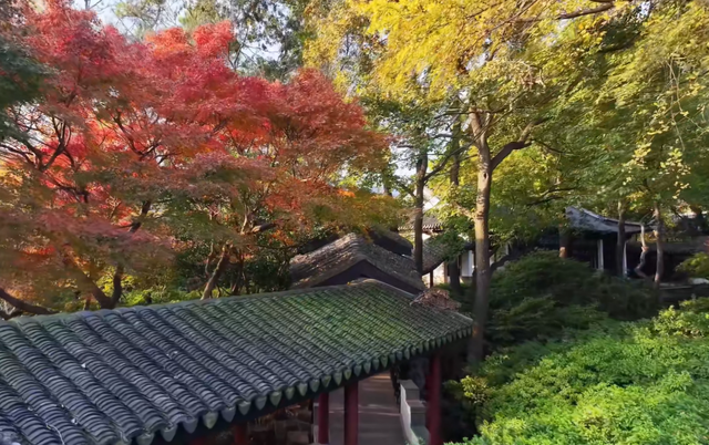 别再只去栖霞山了！江苏这座古镇，被称为“江南醉美赏秋地”