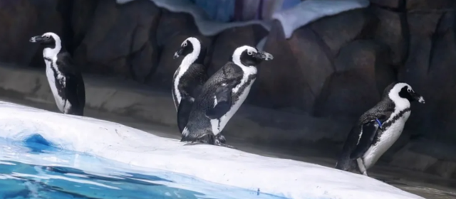 临沂太会玩了！你的短途出行计划，一键收藏