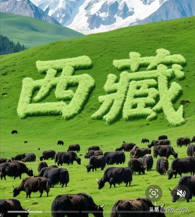 我要去西藏（五）——参观章巴村 色季拉山口