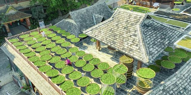 交旅融合再升级 云南重磅推介G219云南段世界级边境自驾线路