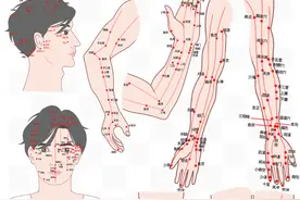 【宽街· 明医说】不同病症对应哪条经络？十二经络的“分工”，一口气讲清楚图片