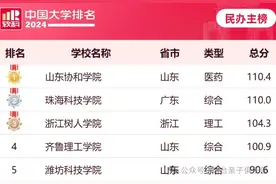 山东排名全国第1的民办高校图片