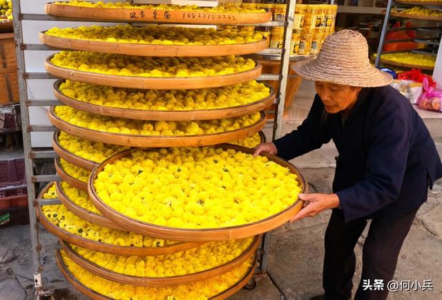单祖英：从宜兴到澄迈，战友相伴的暖冬南行记