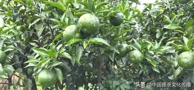 乐山乐水，顺风顺水