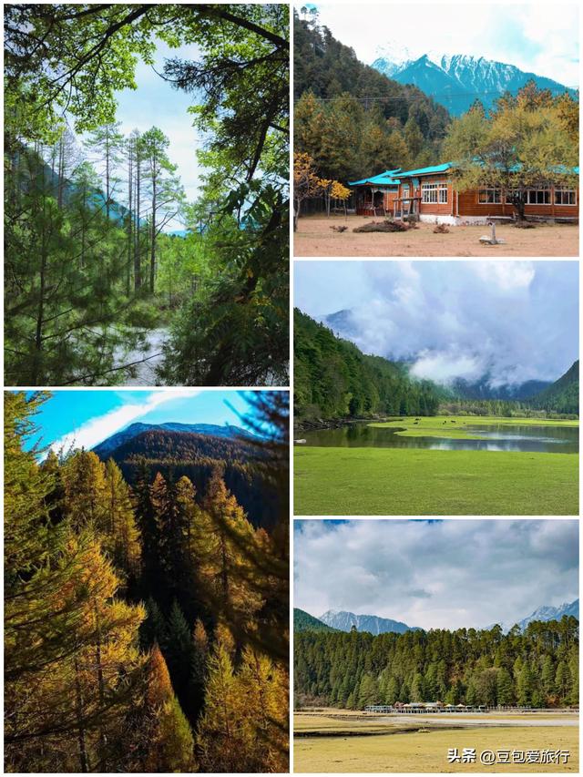 西藏林芝深度游：邂逅雪山桃花与森林的浪漫