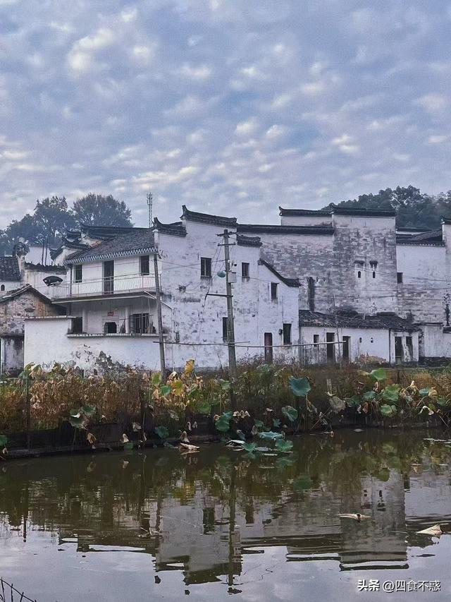去婺源过秋天，文化与美食一样都不落下