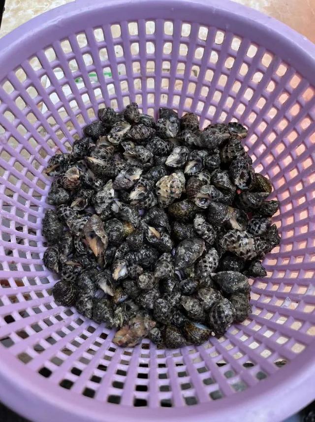 珠海赶海地图出炉！这些宝藏海滩，火爆了！