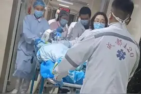 涉事黑狗已找到！被咬伤女童仍昏迷，母亲发声图片