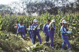 百年城内乘风而来 金秋璀璨满载而归图片