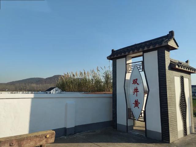 第八批省级传统村落,江北+1