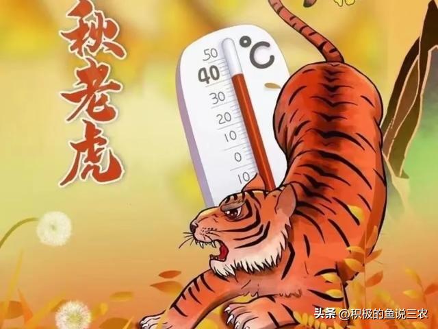 “就怕上午立秋，不怕下午立秋”，今天立秋在几点？有什么征兆？