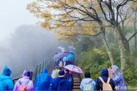 秋雨绵绵中开启峨乐朝拜之旅图片